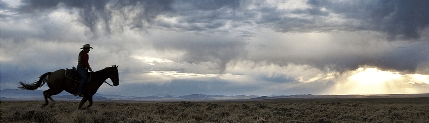 Cowboy riding against stormy sky